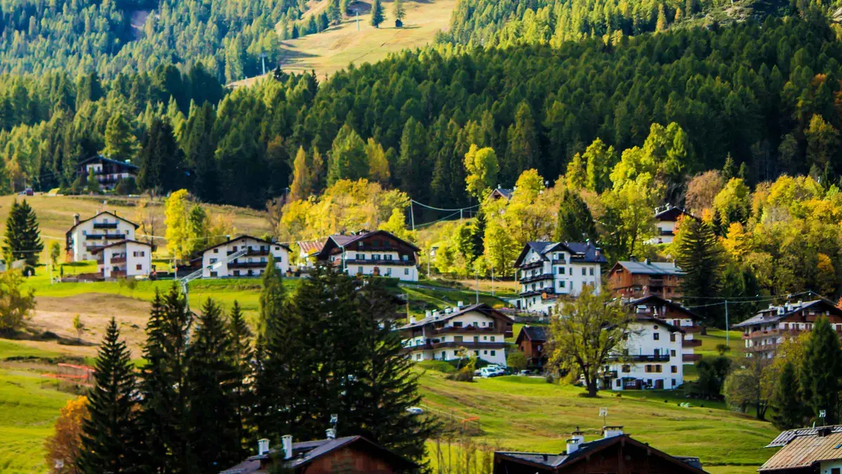 Wooden chalets on a green hillside among fir trees in a South Tyrol valley in autumn