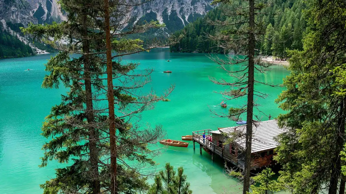 Turquoise water of Lake Braies seen through larch trunks, with the boathouse on the shore