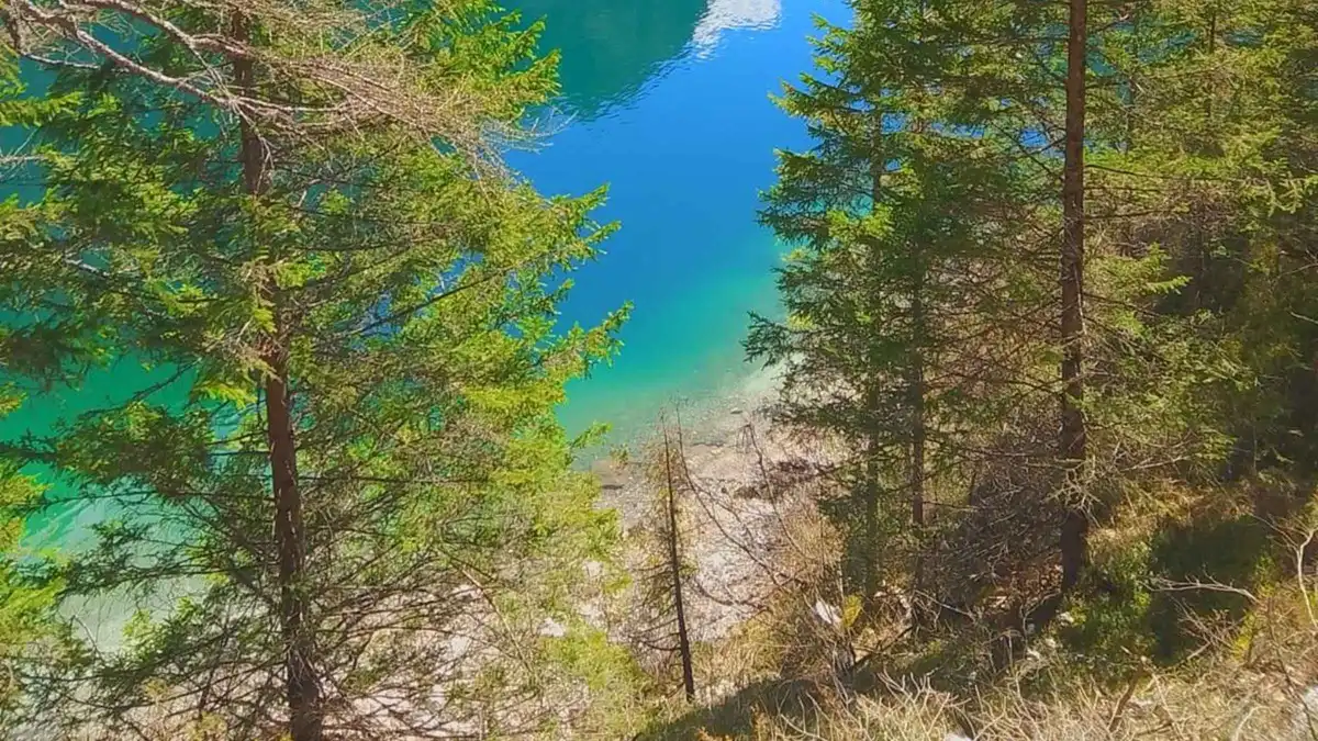 Bright turquoise lake water glimpsed through pine branches from a forest path
