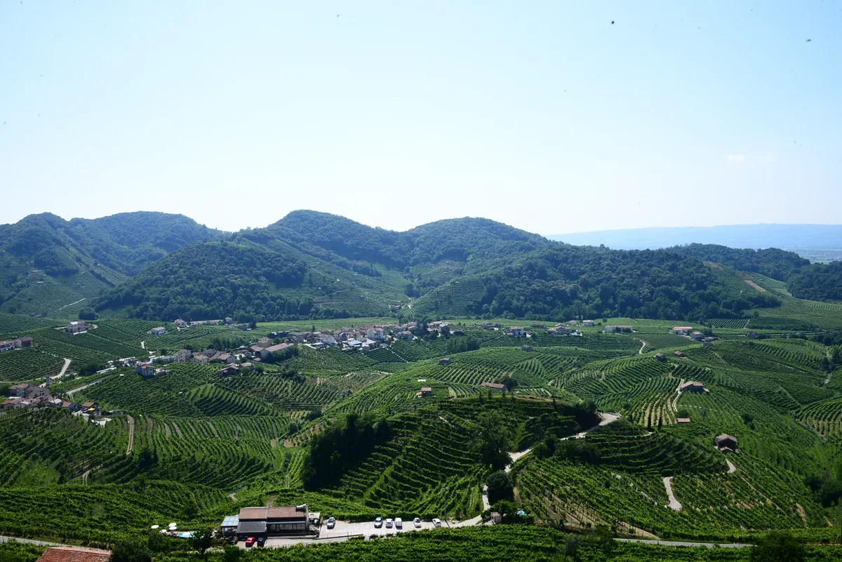 Vineyard terraces on the hills around Valdobbiadene